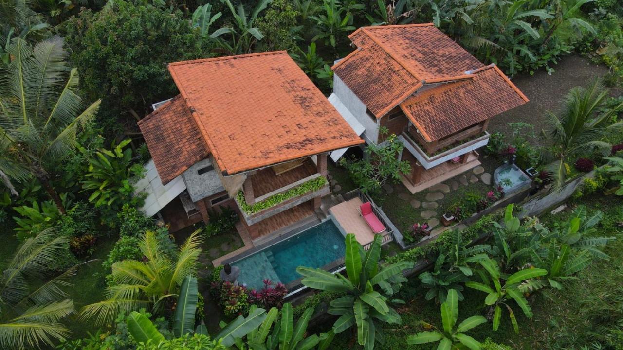 D'Nanda Villa Убуд Екстериор снимка